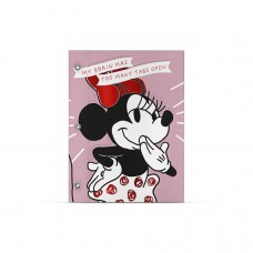CARPETA Nº 3 CON CORDON MINNIE