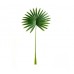RAMOS DE HOJAS X 1 PALMERA ABANICO 77 CM