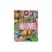 CARPETA Nº 3 CON CORDON AVENGERS 7798187057025 7799165001344