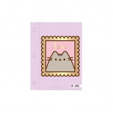 CARPETA Nº 3 CON CORDON PUSHEEN