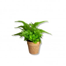 PLANTA ARTIFICIAL EN MACETA TIPO TERRACOTA