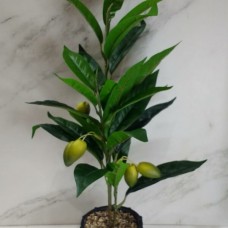 PLANTA ARTIFICIAL CON FRUTOS Y MACETA DE CERAMICA 40 CM