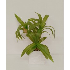 PLANTA ARTIFICIAL 30 CM EN MACETA PALO DE AGUA PLANTA ARTIFICIAL 30 CM EN MACETA PALO DE AGUA