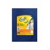 CUADERNO RAYADO A4 T/D X 100 H FORRADO AZUL EXITO (19 X 24 CM)