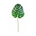 RAMOS DE HOJAS X 1 MONSTERA 71 CM