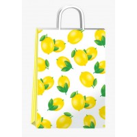 BOLSA DE CARTON PARA REGALO ESTAMPADA 30  X 41 PLC