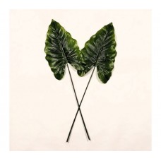 RAMOS DE HOJAS X 1 ALOCASIA 68 CM