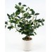 PLANTA ARTIFICIAL 50 CM CON MACETA FICUS PLANTA ARTIFICIAL 50 CM CON MACETA FICUS