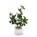 PLANTA ARTIFICIAL 70 CM CON MACETA FICUS GOMERO PLANTA ARTIFICIAL 70 CM CON MACETA FICUS GOMERO