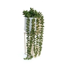PLANTA ARTIFICIAL COLGANTE ROSARIO CON MACETA DE CERAMICA 40 CM PLANTA ARTIFICIAL COLGANTE ROSARIO CON MACETA DE CERAMICA 40 CM