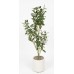 PLANTA ARTIFICIAL 80 CM CON MACETA OLIVO