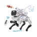 ROBOT PERRO A RADIO CONTROL ROBOTIC DOG-S