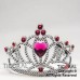 CORONA DE REINA CON CORAZON Y PLUMITAS