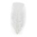 PLUMA GALLITO COLOR BLANCO