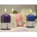 VELONCITO PERFUMADO ILUMINARTE 5,5 CM