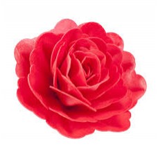 FLORES DE AZUCAR ROSA ESPECIAL GRANDE SIN HOJA